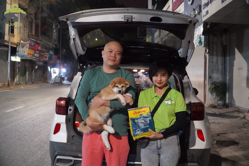 Giao bé Akita Inu chó khách hàng ở Hà Nội ngày 12/12/2021