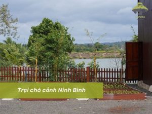 Trại chó cảnh Ninh Bình