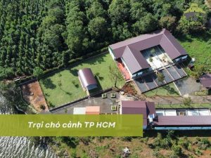 Trại chó cảnh TP HCM