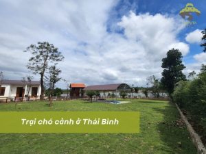 Trại chó cảnh ở Thái Bình