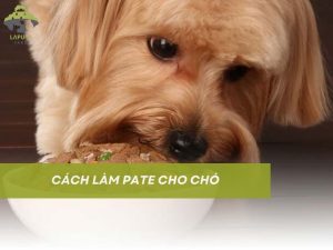 cách làm pate cho chó