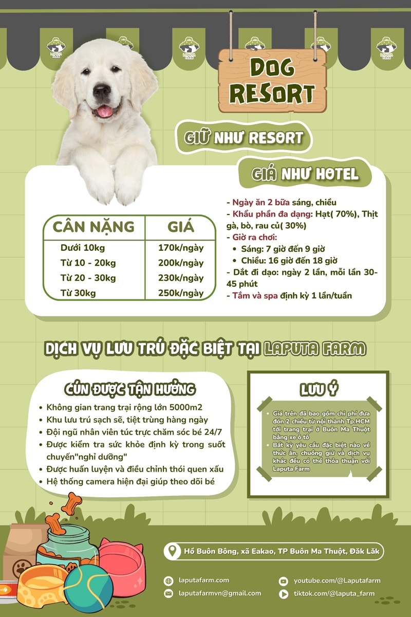 Dịch vụ gửi chó ngày tết